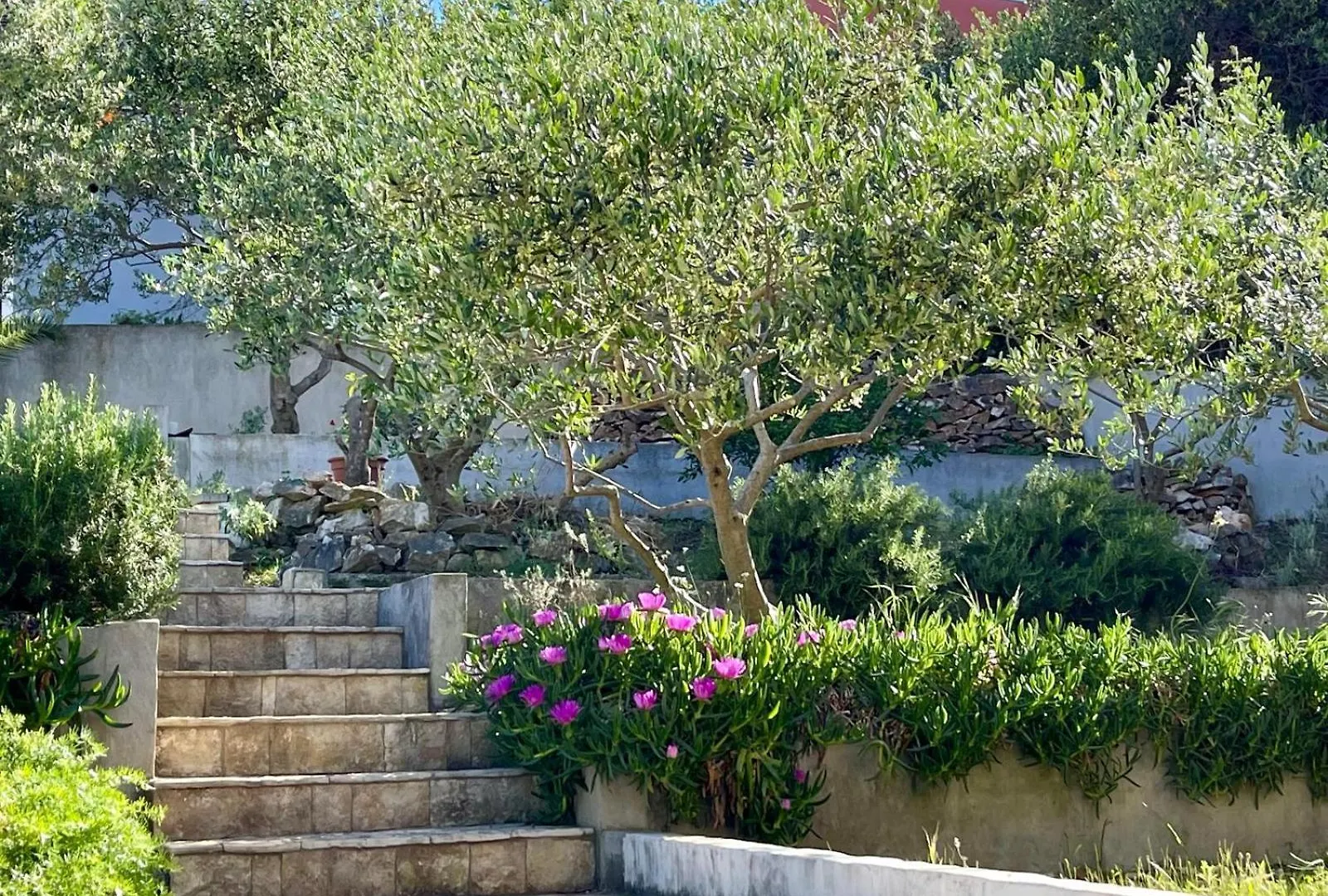 Villa Bua - Beautiful Seafront Apartments Trogir